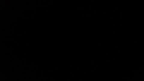 Destroyer online show from 4, 12, 2024