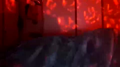 Daddett iS Wett online show from 18, 12, 2025