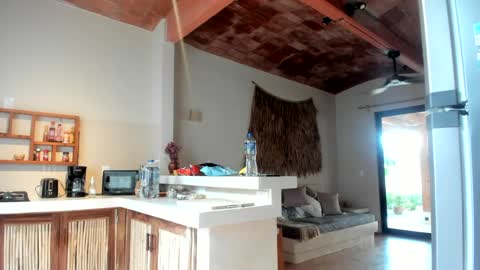 Snapshot of daddy_daycare_ chatting on 11, 3, 2025 Belle Email daddydaycarecb online show from 11, 3, 2025