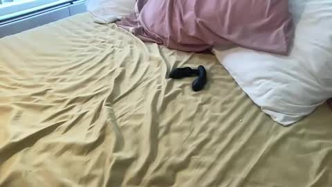 dadstrokin online show from 8, 3, 2026