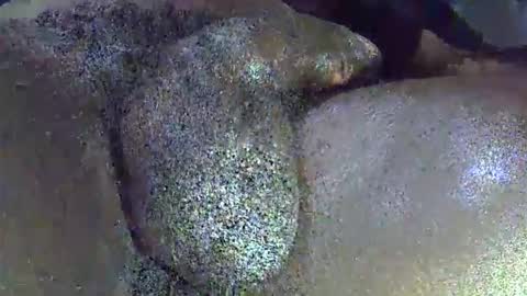 GIANT  Lamar  72 ft  tall  with a  10 inches  BBC   hard quick cumshot in private show lets go online show from 1, 4, 2026