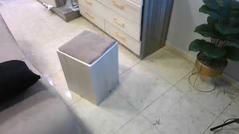 Snapshot of daffiih chatting on 23, 2, 2025 Deffa online show from 23, 2, 2025