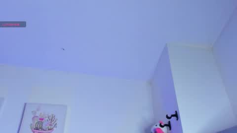    online show from 26, 2, 2025