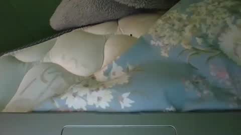 Snapshot of daisnconfusion_ chatting on 6, 3, 2025 daisnconfusion_ online show from 6, 3, 2025