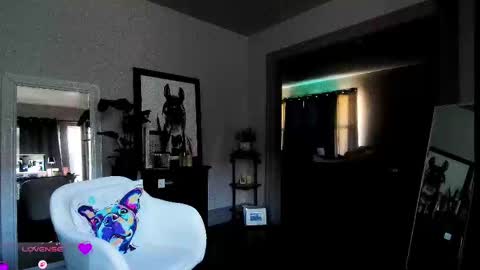 Daisy online show from 19, 11, 2025