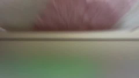 Daisy online show from 19, 3, 2026