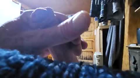 dave online show from 24, 10, 2025