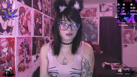 Dakapsy online show from 2, 6, 2026