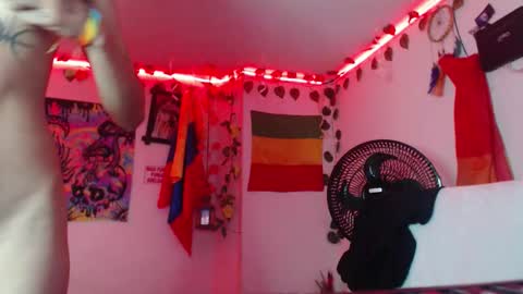 Dakko online show from 15, 1, 2026