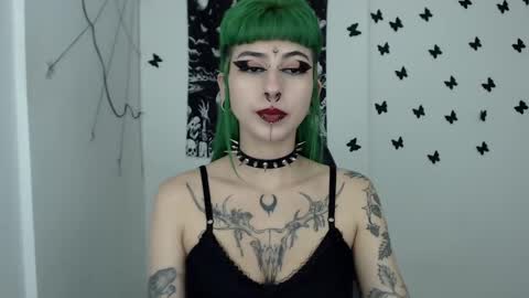 dakota online show from 24, 12, 2024