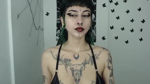 dakota online show from 8, 1, 2025