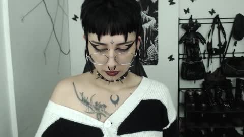 dakota online show from 29, 10, 2025