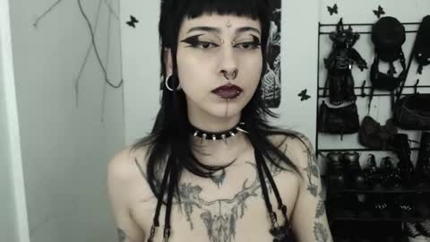 dakota online show from 25, 11, 2025