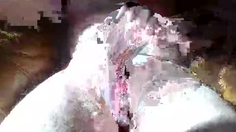 dalamud48 online show from 27, 3, 2026