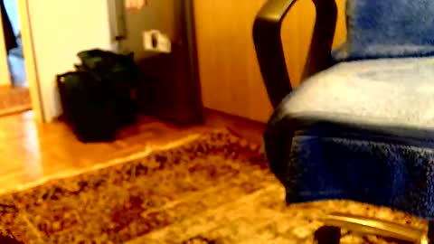 Snapshot of dammerl6 chatting on 6, 4, 2026 Dammerl online show from 6, 4, 2026