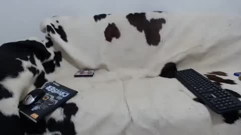 dan_jonson15 online show from 27, 11, 2025