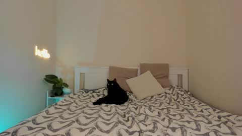 Dana online show from 1, 12, 2025