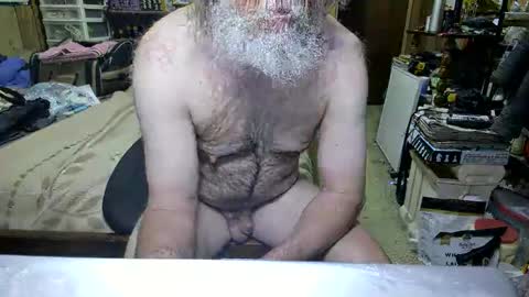 Snapshot of danagm chatting on 19, 4, 2026 Dana online show from 19, 4, 2026