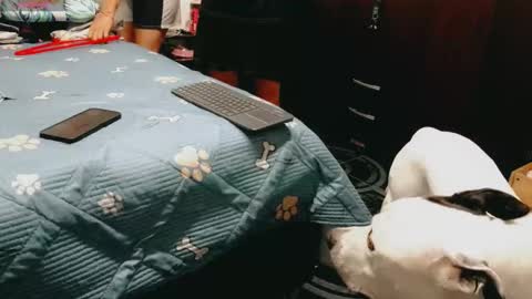 dani y jocelyn online show from 16, 2, 2026