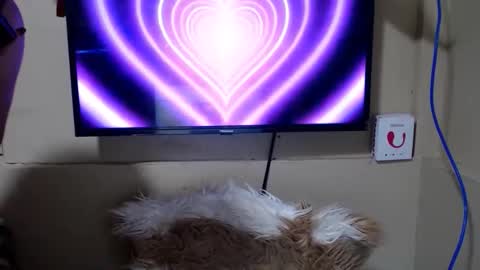Snapshot of danica_wild chatting on 15, 5, 2026 Danica online show from 15, 5, 2026