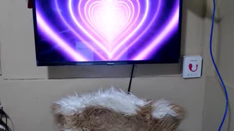 Snapshot of danica_wild chatting on 15, 5, 2026 Danica online show from 15, 5, 2026