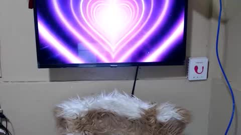 Snapshot of danica_wild chatting on 15, 5, 2026 Danica online show from 15, 5, 2026