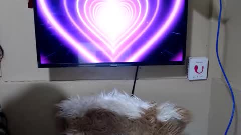 Snapshot of danica_wild chatting on 15, 5, 2026 Danica online show from 15, 5, 2026