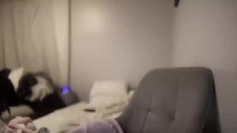 daniellealexa online show from 8, 10, 2025