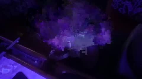 Snapshot of dankfuckcouple chatting on 28, 9, 2025 dankfuckcouple online show from 28, 9, 2025