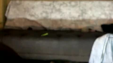 dandeb online show from 12, 10, 2025