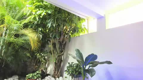 Dannamunoz130 online show from 31, 5, 2026