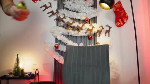 SEBAS online show from 26, 11, 2025