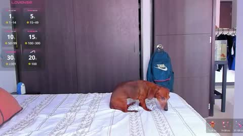 danyfitguy_ online show from 9, 11, 2025