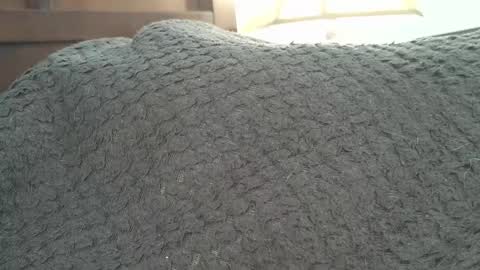 dapppper online show from 24, 9, 2025