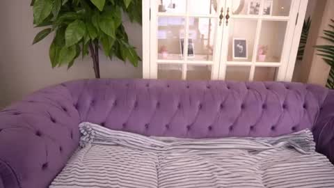 Daria online show from 25, 5, 2026