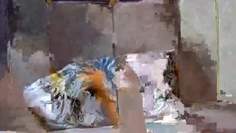 Dark Candy 254 online show from 13, 12, 2024