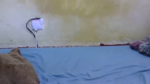 Snapshot of dark_princess1 chatting on 13, 2, 2026 dark_princess1 online show from 13, 2, 2026