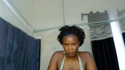 Tiff online show from 20, 2, 2026