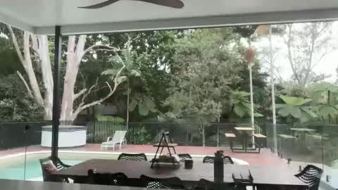 dartanian0001 online show from 18, 9, 2025