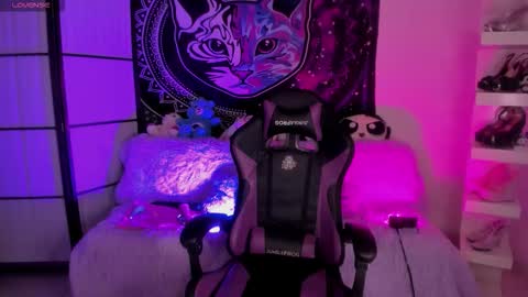 daryimiau online show from 26, 11, 2025