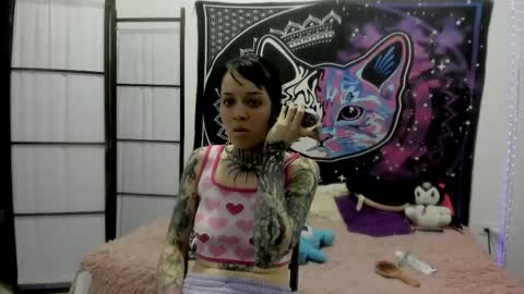 Snapshot of daryimiau chatting on 11, 4, 2026 daryimiau online show from 11, 4, 2026