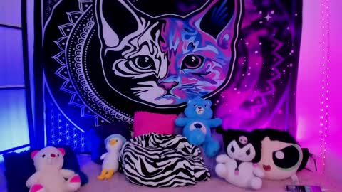 Snapshot of daryimiau chatting on 20, 4, 2026 daryimiau online show from 20, 4, 2026