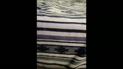 dat_guy8806 online show from 5, 1, 2026