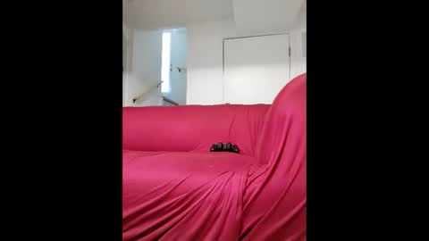 Snapshot of dave3891 chatting on 13, 2, 2026 dave3891 online show from 13, 2, 2026