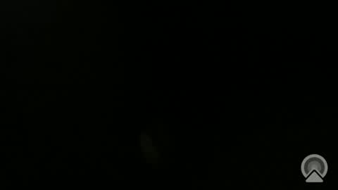 Snapshot of daveeveline chatting on 11, 11, 2025 daveeveline online show from 11, 11, 2025