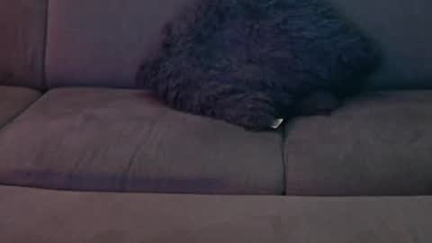 Sophie  Dave online show from 8, 1, 2025