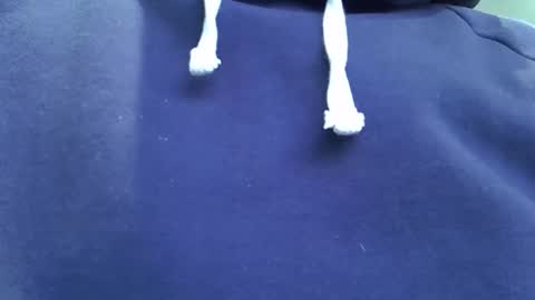 Davesmth online show from 22, 12, 2025