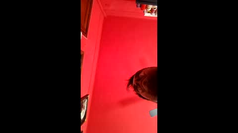 david_argentina online show from 11, 1, 2026