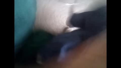 davidf75 online show from 6, 11, 2025