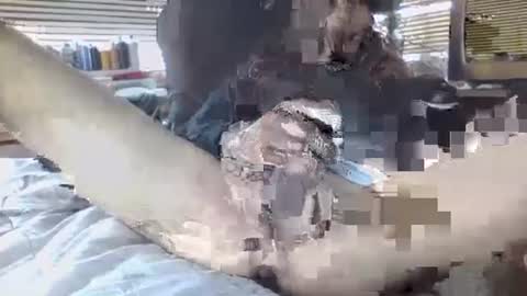 Your daddy online show from 30, 9, 2025